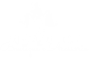 Ana Alice Boutique