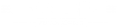 Gandini Automóveis